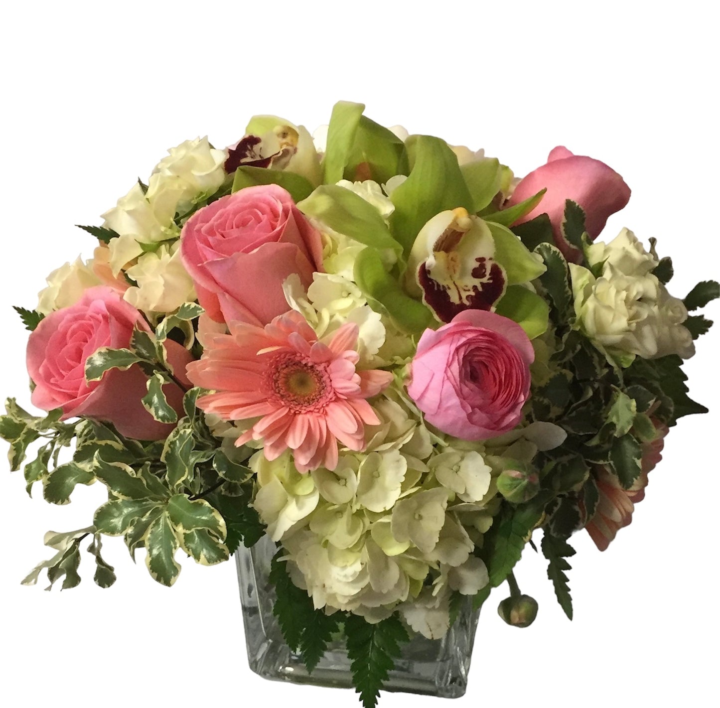 Whispering Blooms