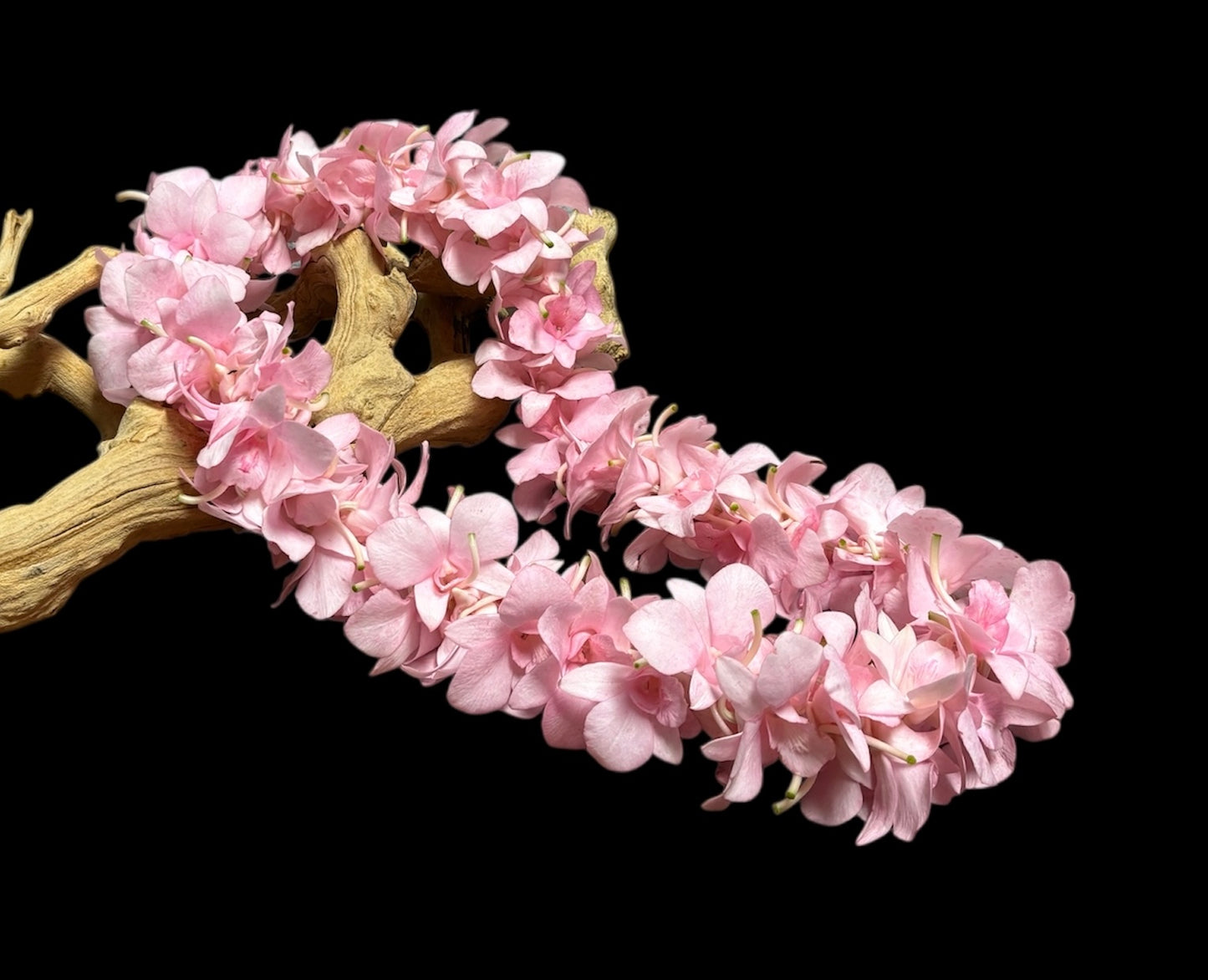 Pink Lei