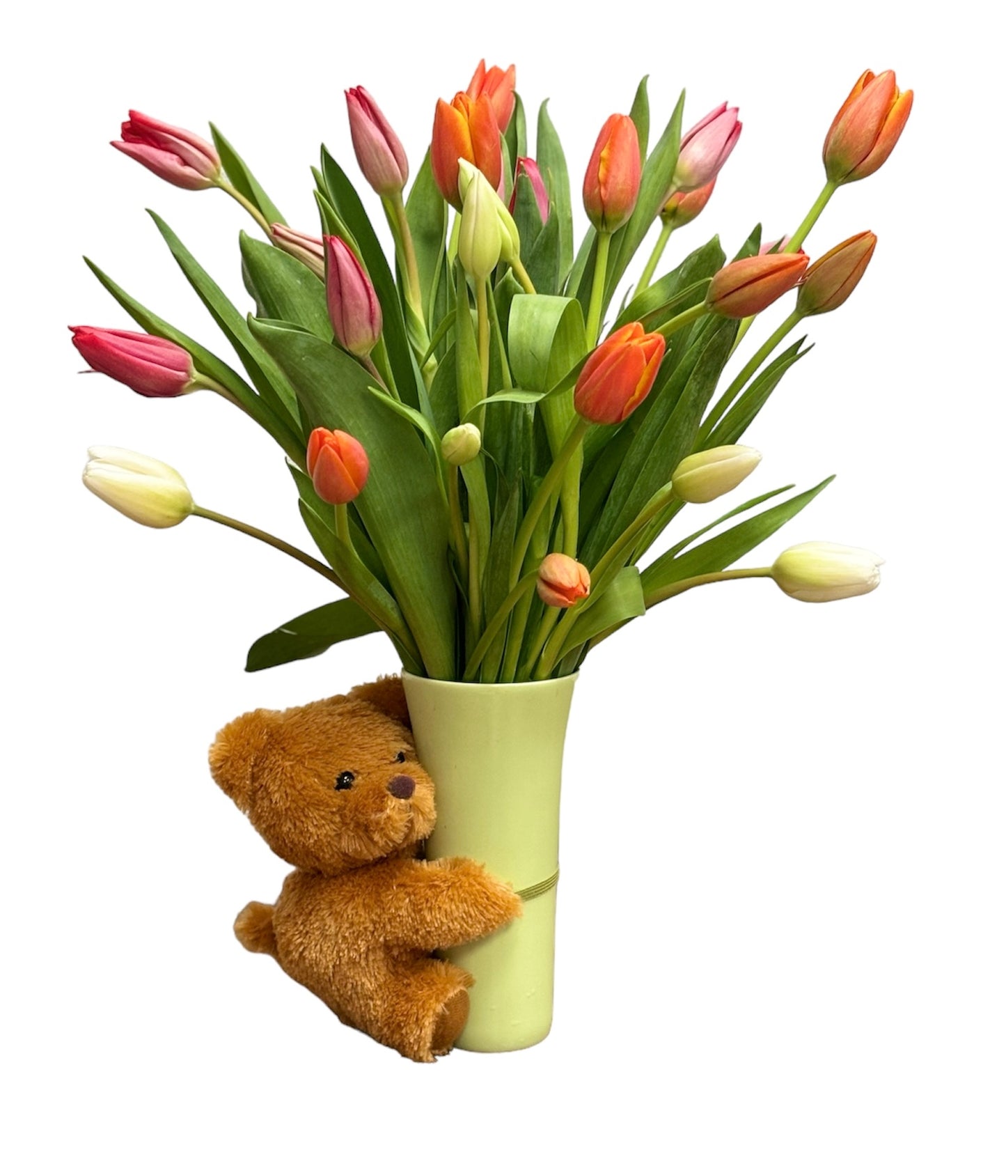 Hug-a-Bloom Tulip