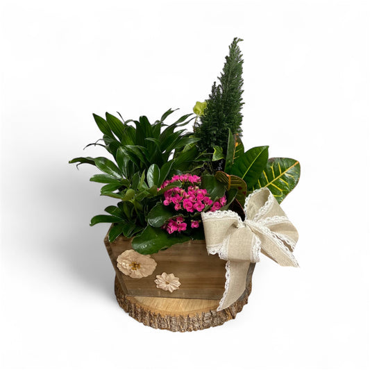 Sweet Pot