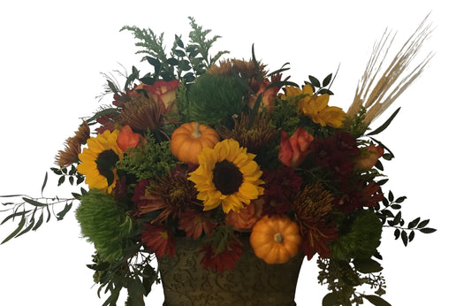 Harvest Glow