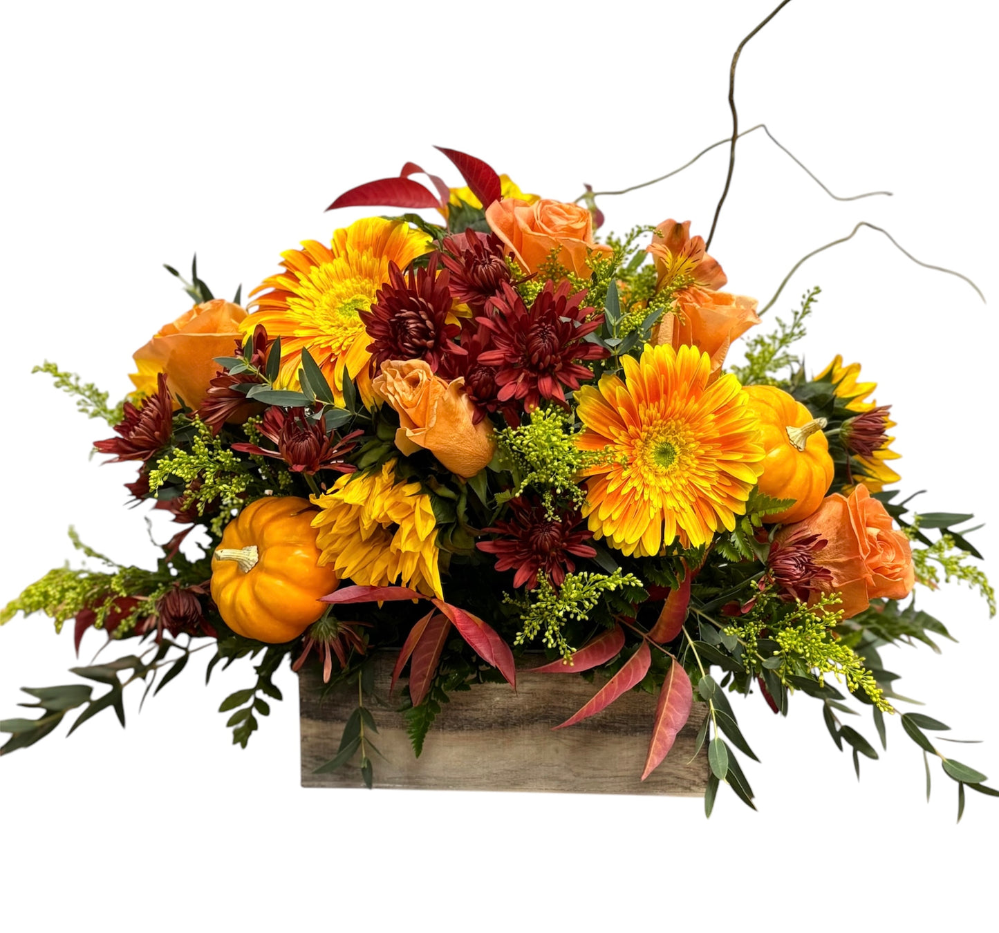 Wild Autumn