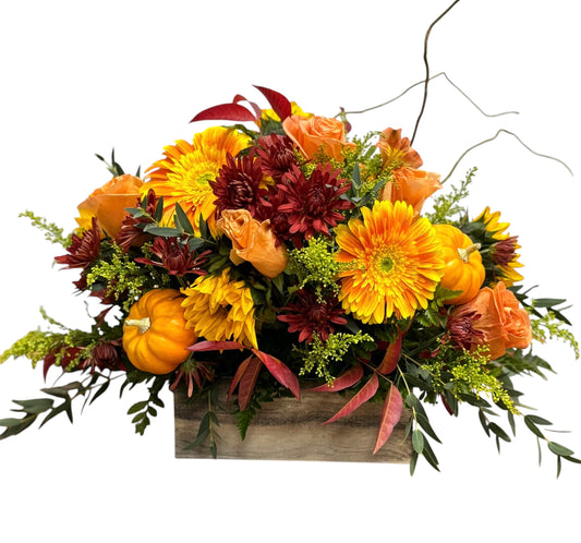 Wild Autumn