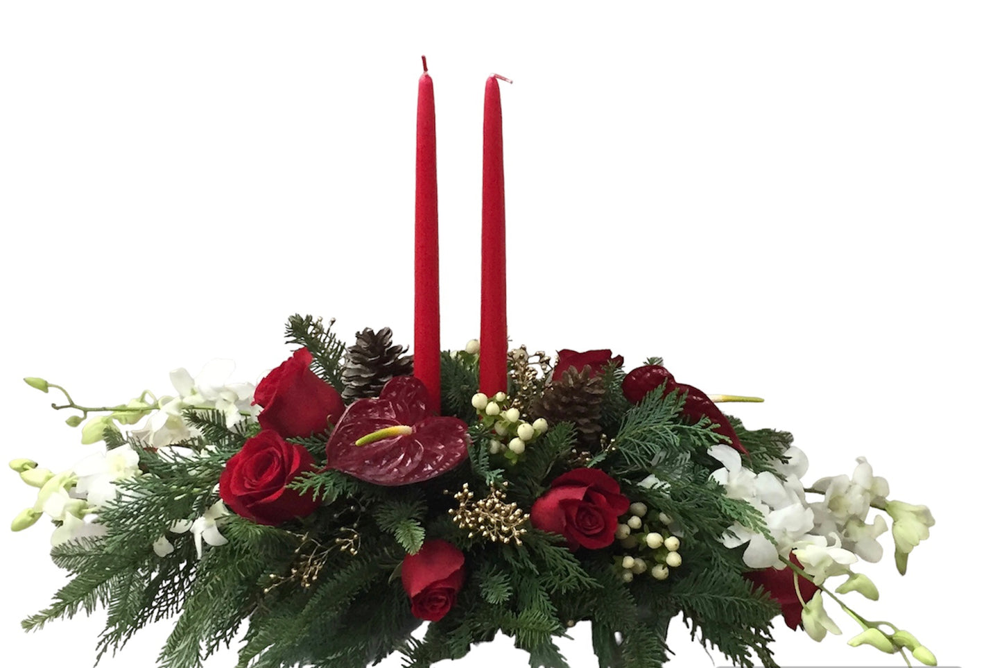 Glory Of Christmas