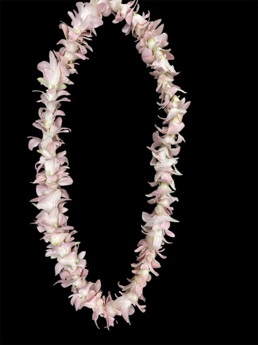 Pink Lei