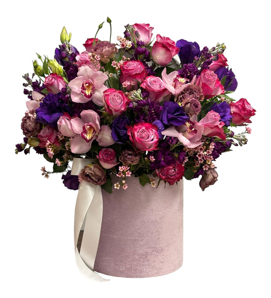Regal Violet Symphony