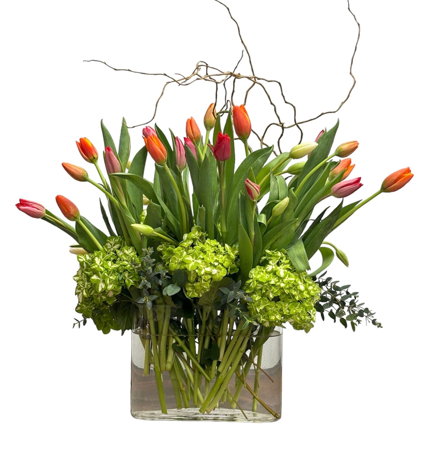 Opulent Tulip Symphony