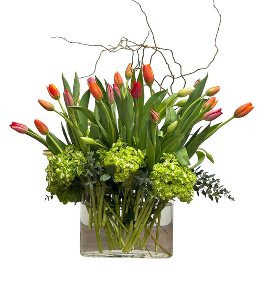Opulent Tulip Symphony