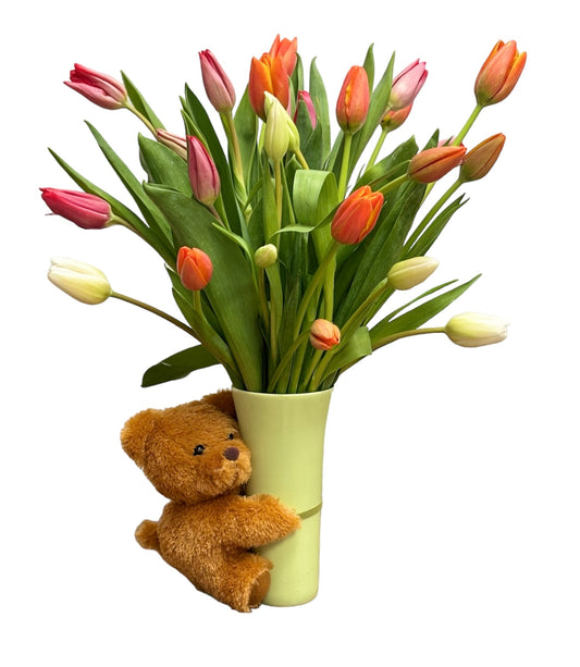 Hug-a-Bloom Tulip
